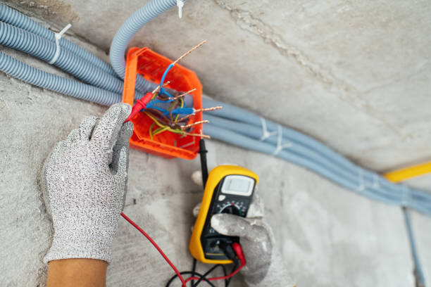 Best Electrician for Home Renovation  in Travis Ranch, TX
